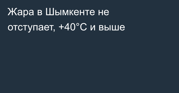 Жара в Шымкенте не отступает, +40°C и выше