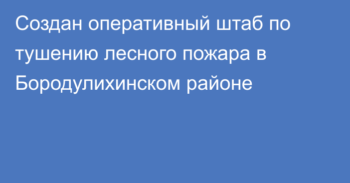 Создан оперативный штаб по тушению лесного пожара в Бородулихинском районе