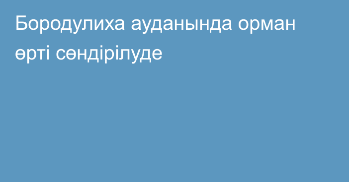 Бородулиха ауданында орман өрті сөндірілуде