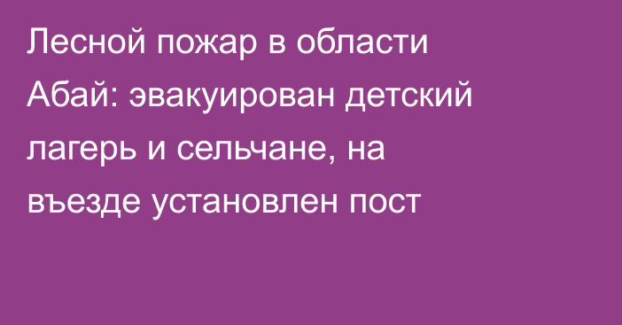 Лесной пожар в области Абай: эвакуирован детский лагерь и сельчане, на въезде установлен пост