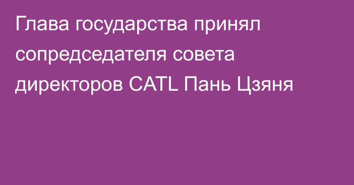 Глава государства принял сопредседателя cовета директоров CATL Пань Цзяня