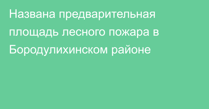 Названа предварительная площадь лесного пожара в Бородулихинском районе