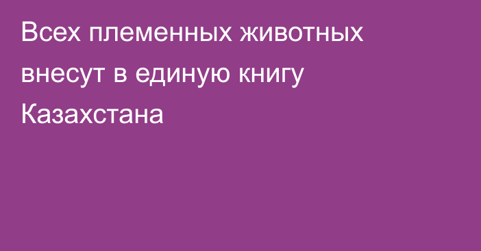 Всех племенных животных внесут в единую книгу Казахстана