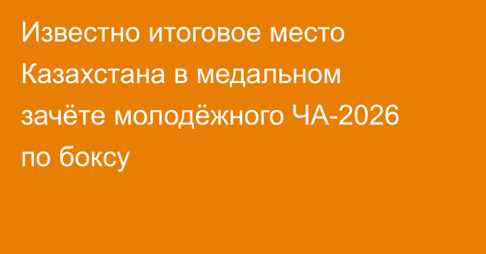 Известно итоговое место Казахстана в медальном зачёте молодёжного ЧА-2026 по боксу