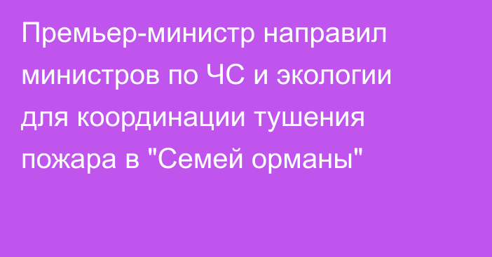 Премьер-министр направил министров по ЧС и экологии для координации тушения пожара в 