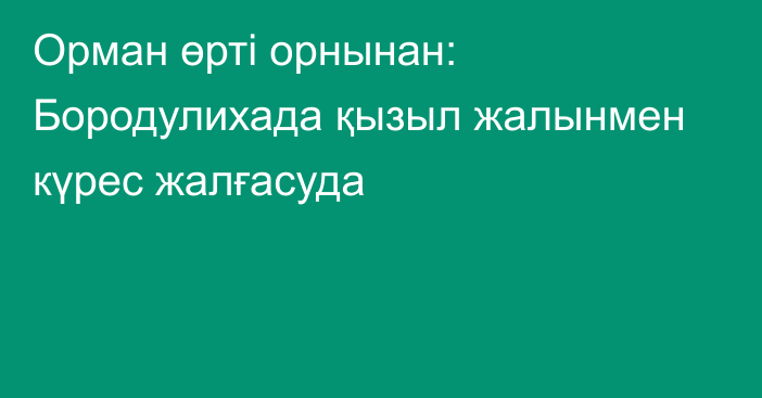 Орман өрті орнынан: Бородулихада қызыл жалынмен күрес жалғасуда