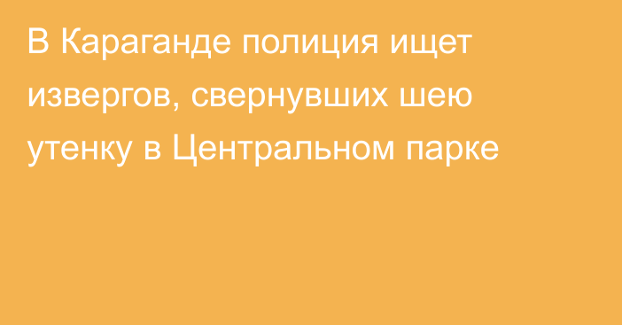 В Караганде полиция ищет извергов, свернувших шею утенку в Центральном парке