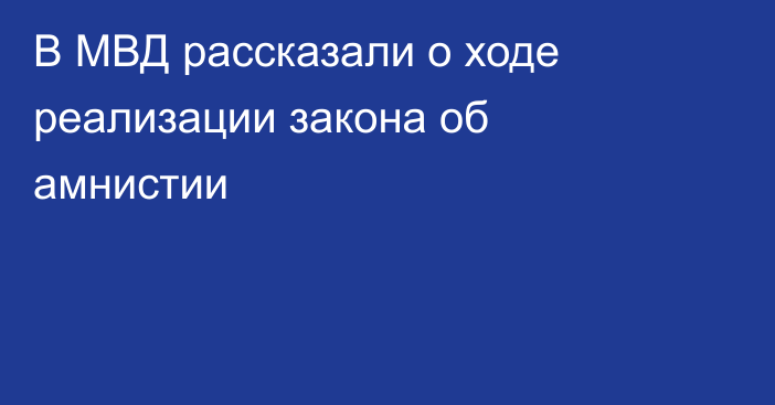 В МВД рассказали о ходе реализации закона об амнистии
