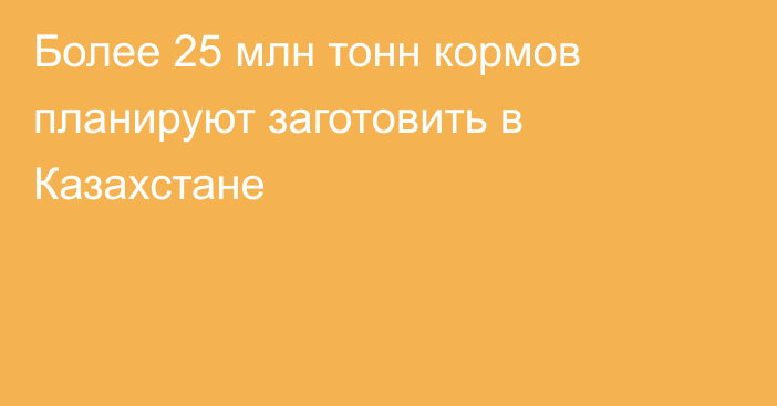 Более 25 млн тонн кормов планируют заготовить в Казахстане