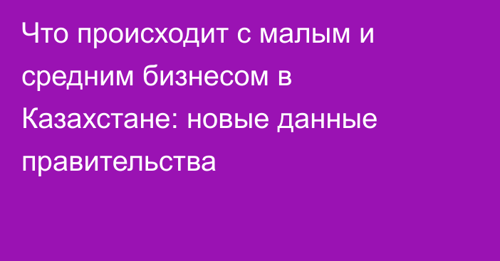 Что происходит с малым и средним бизнесом в Казахстане: новые данные правительства