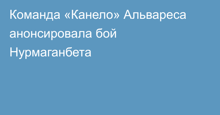 Команда «Канело» Альвареса анонсировала бой Нурмаганбета