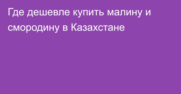 Где дешевле купить малину и смородину в Казахстане