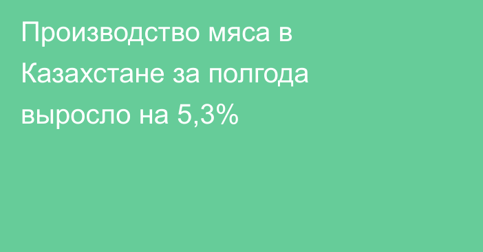 Производство мяса в Казахстане за полгода выросло на 5,3%