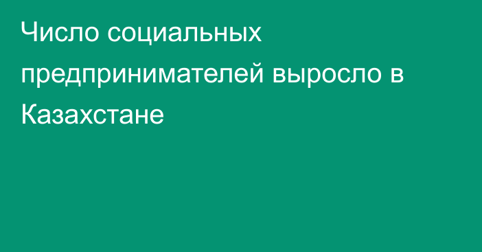 Число социальных предпринимателей выросло в Казахстане