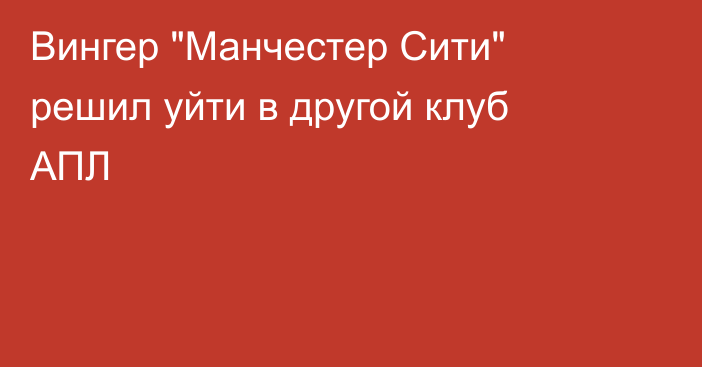 Вингер 