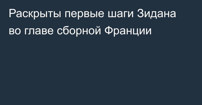 Раскрыты первые шаги Зидана во главе сборной Франции
