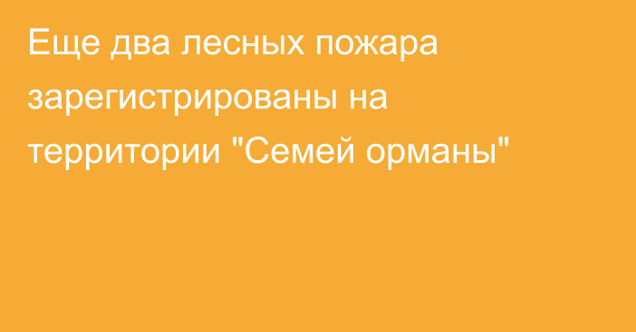 Еще два лесных пожара зарегистрированы на территории 