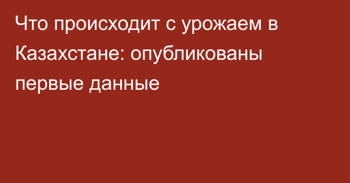 Что происходит с урожаем в Казахстане: опубликованы первые данные
