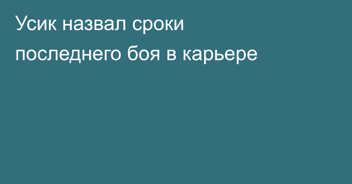 Усик назвал сроки последнего боя в карьере
