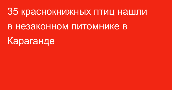 35 краснокнижных птиц нашли в незаконном питомнике в Караганде