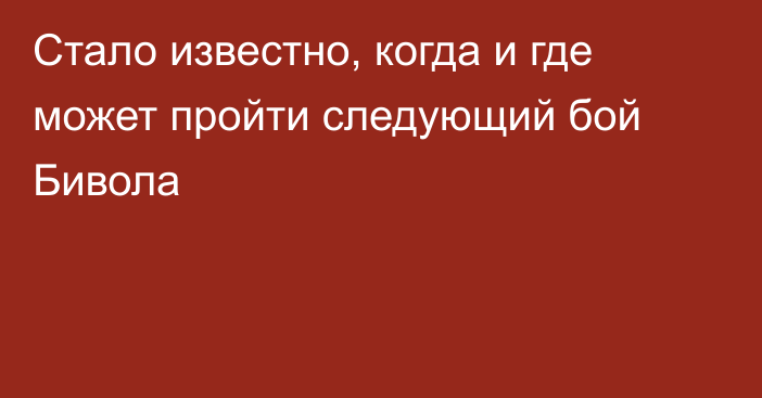 Стало известно, когда и где может пройти следующий бой Бивола