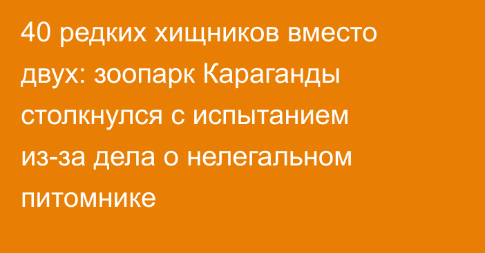 40 редких хищников вместо двух: зоопарк Караганды столкнулся с испытанием из-за дела о нелегальном питомнике