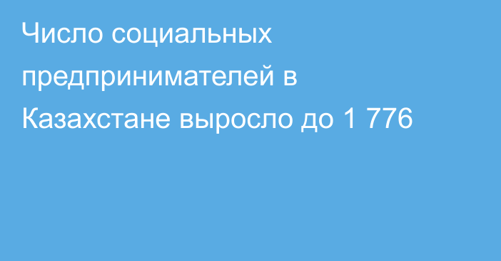 Число социальных предпринимателей в Казахстане выросло до 1 776