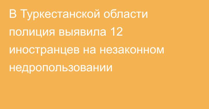 В Туркестанской области полиция выявила 12 иностранцев на незаконном недропользовании