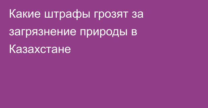 Какие штрафы грозят за загрязнение природы в Казахстане