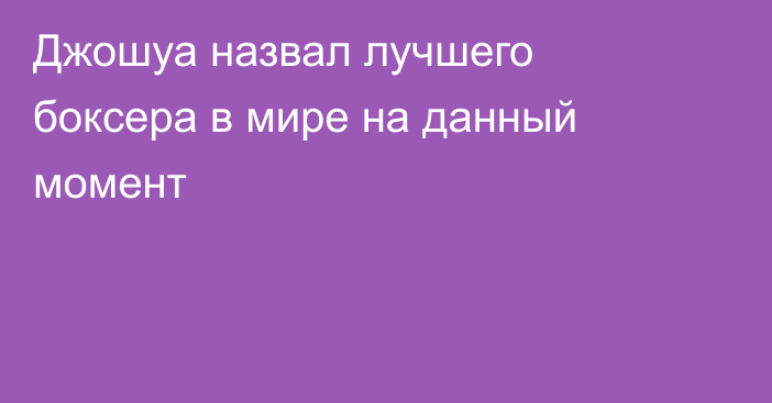 Джошуа назвал лучшего боксера в мире на данный момент