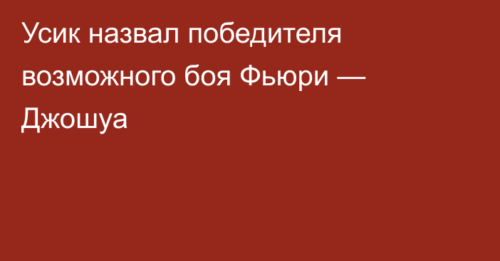 Усик назвал победителя возможного боя Фьюри — Джошуа