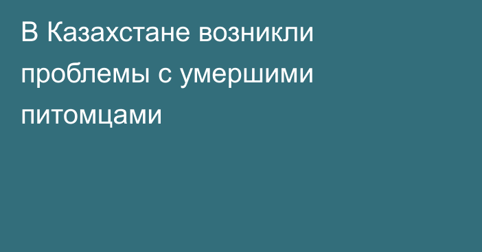 В Казахстане возникли проблемы с умершими питомцами