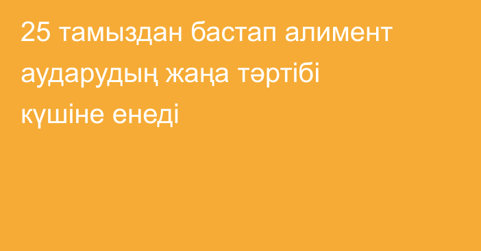 25 тамыздан бастап алимент аударудың жаңа тәртібі күшіне енеді
