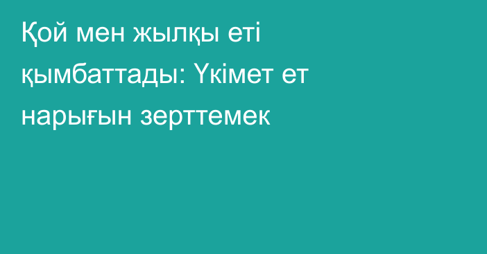 Қой мен жылқы еті қымбаттады: Үкімет ет нарығын зерттемек