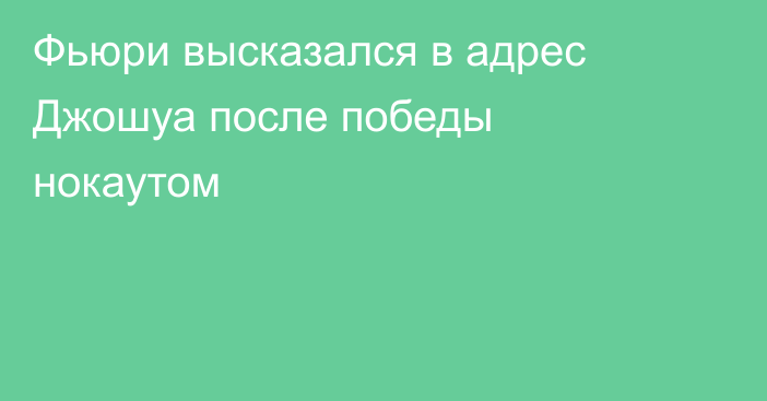 Фьюри высказался в адрес Джошуа после победы нокаутом