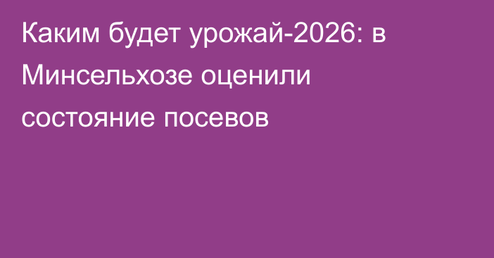 Каким будет урожай-2026: в Минсельхозе оценили состояние посевов