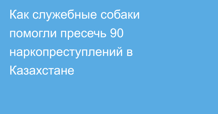 Как служебные собаки помогли пресечь 90 наркопреступлений в Казахстане