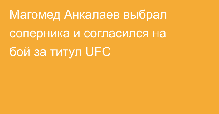 Магомед Анкалаев выбрал соперника и согласился на бой за титул UFC