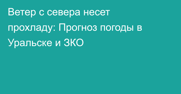 Ветер с севера несет прохладу: Прогноз погоды в Уральске и ЗКО
