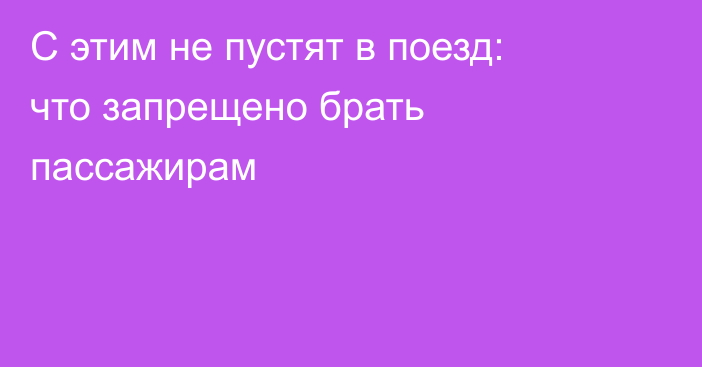 С этим не пустят в поезд: что запрещено брать пассажирам