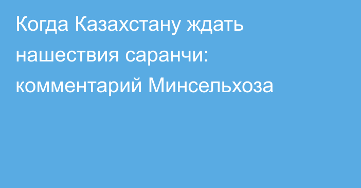 Когда Казахстану ждать нашествия саранчи: комментарий Минсельхоза