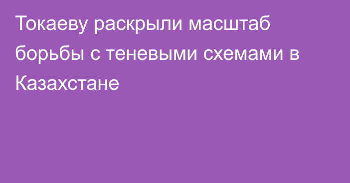 Токаеву раскрыли масштаб борьбы с теневыми схемами в Казахстане