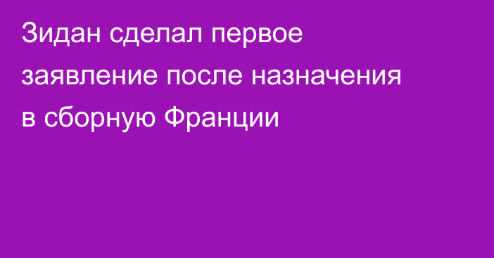 Зидан сделал первое заявление после назначения в сборную Франции