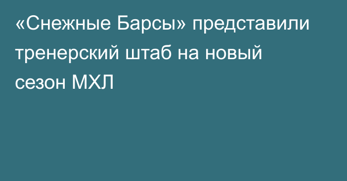 «Снежные Барсы» представили тренерский штаб на новый сезон МХЛ