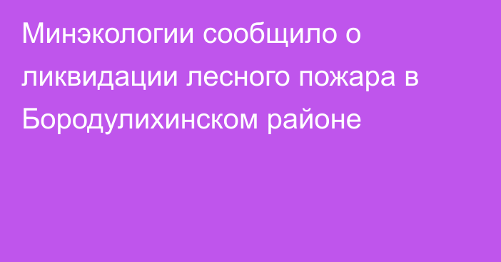 Минэкологии сообщило о ликвидации лесного пожара в Бородулихинском районе