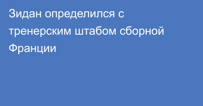 Зидан определился с тренерским штабом сборной Франции