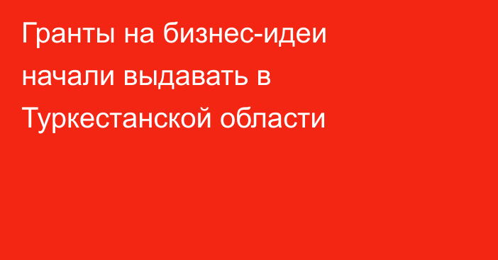 Гранты на бизнес-идеи начали выдавать в Туркестанской области