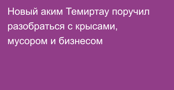 Новый аким Темиртау поручил разобраться с крысами, мусором и бизнесом