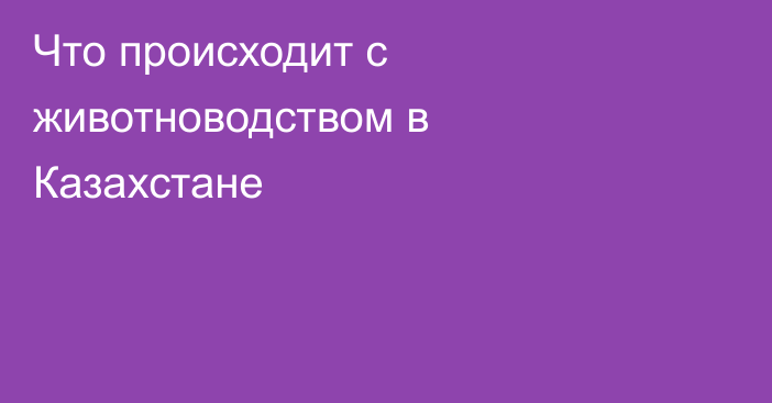 Что происходит с животноводством в Казахстане