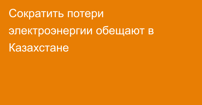Сократить потери электроэнергии обещают в Казахстане